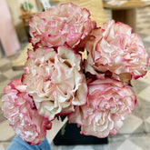 Country Candy Rose